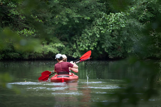 Exploring Charleston’s Hidden Waterways Through Kayak Tours